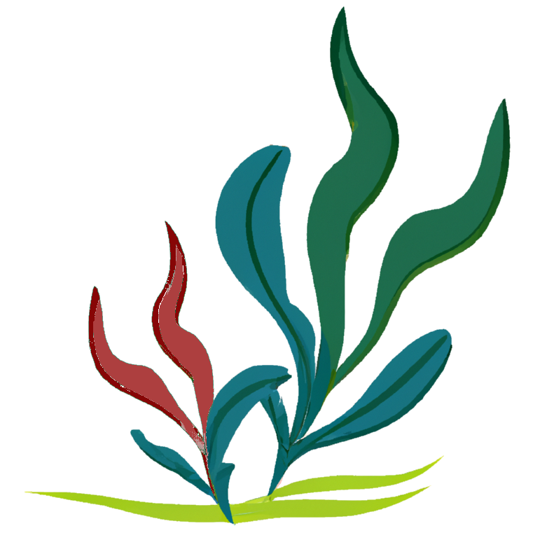 Savory Seaweed